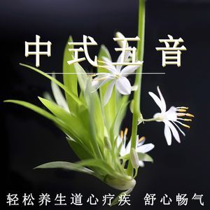 亚洲牲交大片
